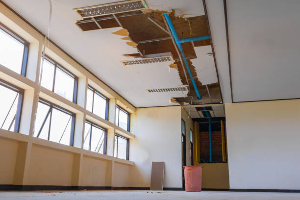 Best Water damage restoration near me  in Vallejo, CA