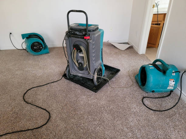 Best Water damage cleanup near me  in Vallejo, CA