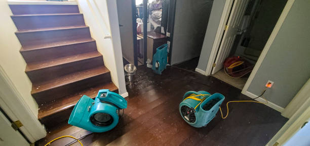 Carpet water damage restoration in Vallejo, CA