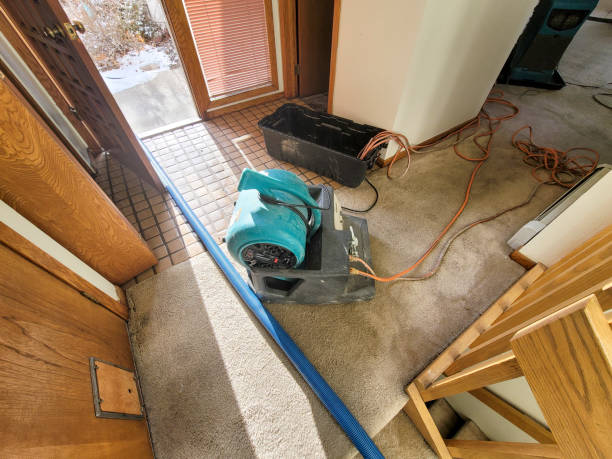 Best Water damage restoration near me  in Vallejo, CA