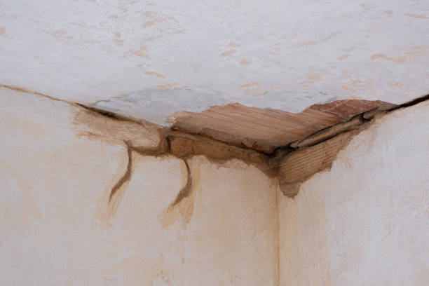 Best Professional water damage repair  in Vallejo, CA