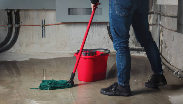 Best Basement water damage restoration  in Vallejo, CA
