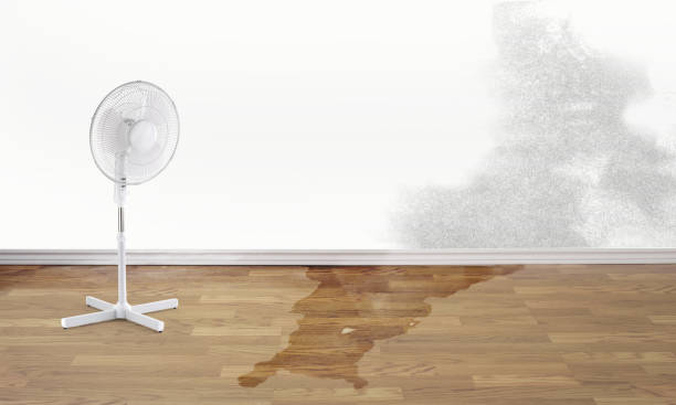 Best Water damage mitigation services  in Vallejo, CA
