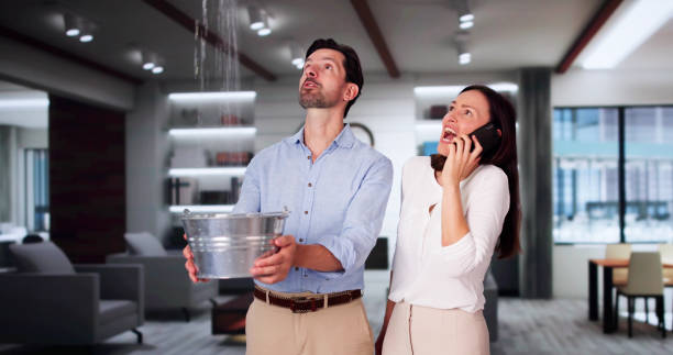 Best 24-hour water damage restoration  in Vallejo, CA