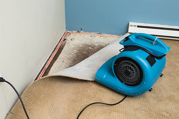 24/7 water damage repair in Vallejo, CA